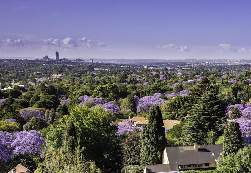 Unique Things About Johannesburg