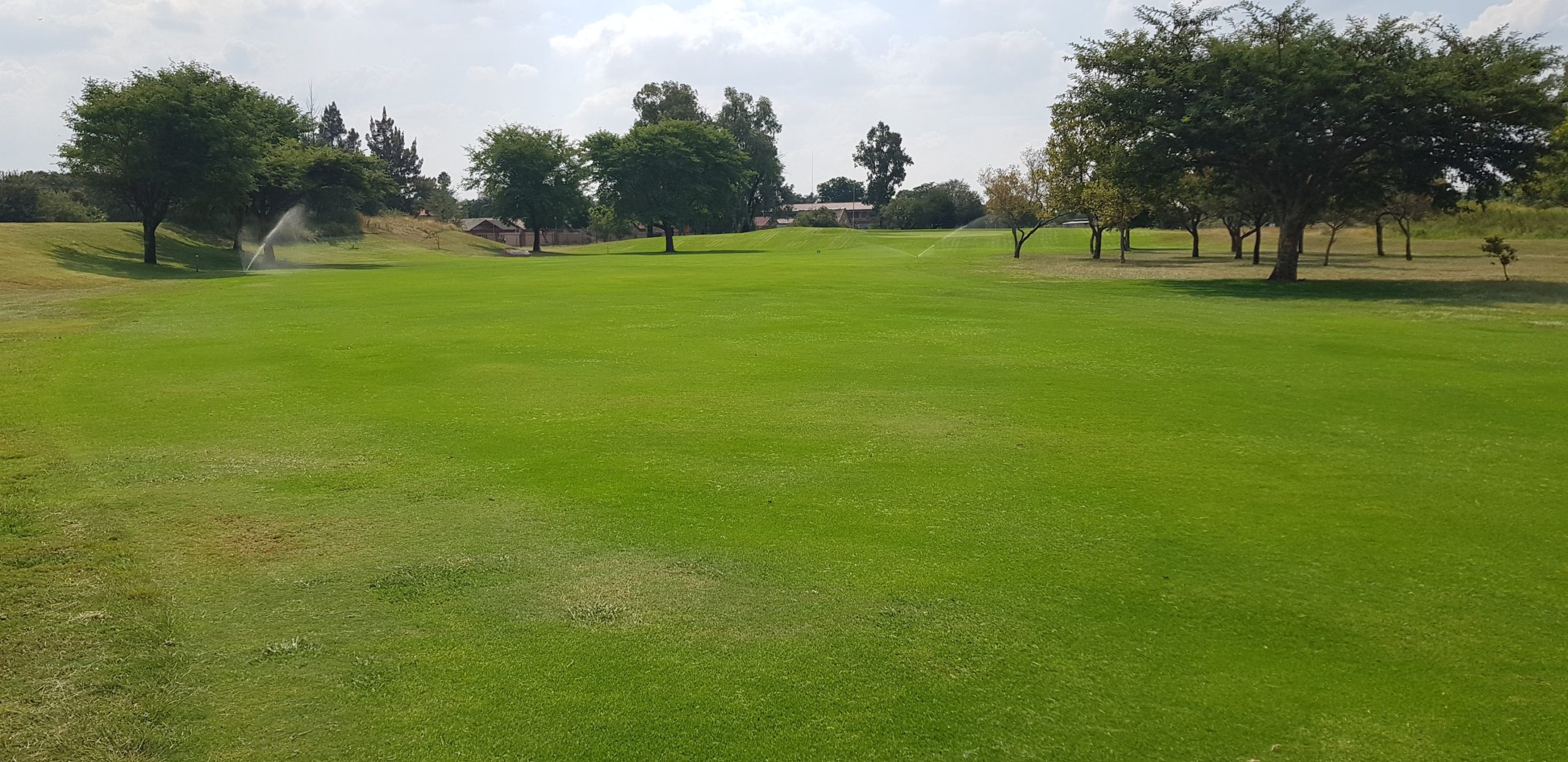 Top 5 Most Affordable Golf Courses in South Africa